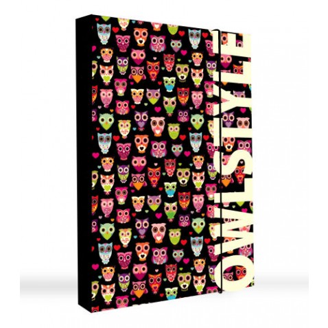 Box na sešity JUMBO Owl A4