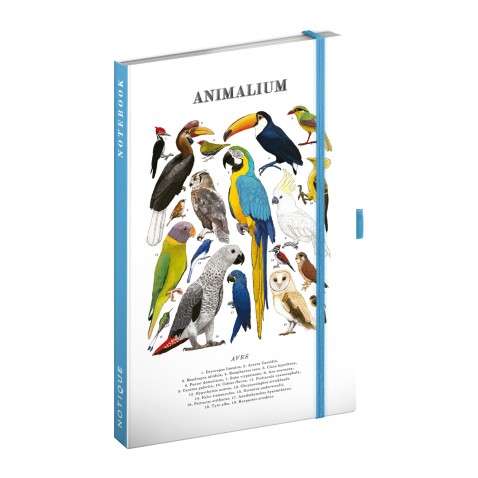 NOTIQUE Notes Animalium – Ptáci, linkovaný, 13 x 21 cm