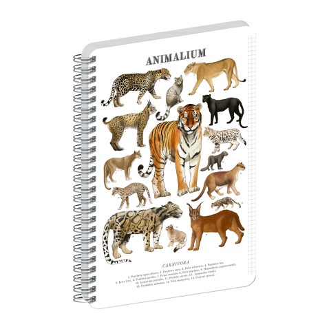 NOTIQUE Spirálový blok Animalium – Kočkovité šelmy, čtverečkovaný, A5