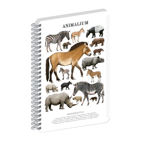 NOTIQUE Spirálový blok Animalium – Lichokopytníci, čtverečkovaný, A5