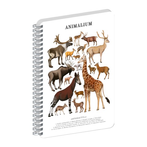 NOTIQUE Spirálový blok Animalium – Sudokopytníci, čistý, A4