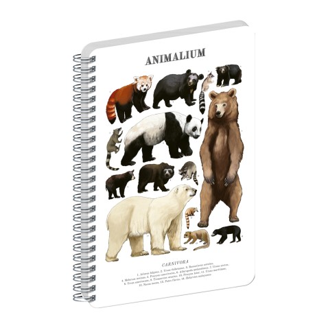 NOTIQUE Spirálový blok Animalium – Medvědovité šelmy, čistý, A5