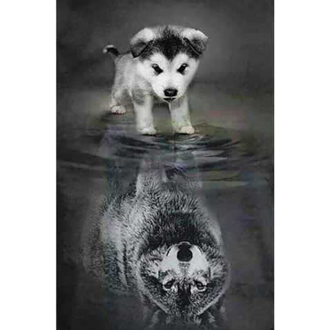 Diamantové malování - Pes a vlk v odrazu na rámu 40x50 cm