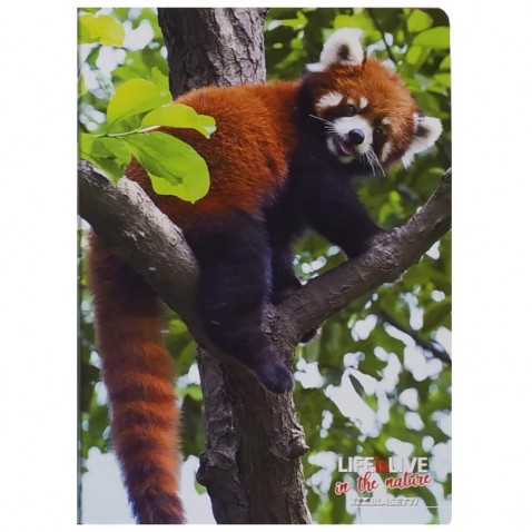 Školní sešit 544 Crazy Červená panda