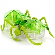 HEXBUG Micro Ant zelená