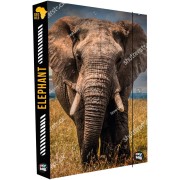 Box na sešity A4 Jumbo Slon