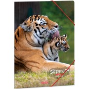 Složka na sešity Serenity Nature Tiger A4
