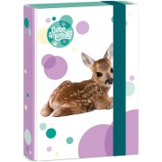 Box na sešity Cute Animals srnečka A5