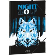 Složka na sešity Night Wolf A4