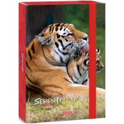 Ars Una Box na sešity A4 Serenity Tiger