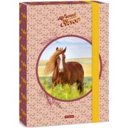 Ars Una Box na sešity My Sweet Horse A4