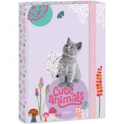 Ars Una Box na sešity A4 Cute Animals - kotě