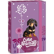 Ars Una Box na sešity A4 Cute Animals - štěně