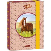 Ars Una Box na sešity My Sweet Horse A5