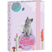 Ars Una Box na sešity Cute Animals - kotě A5