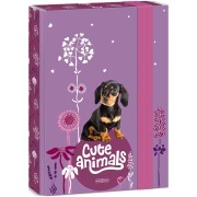 Ars Una Box na sešity Cute Animals - štěně A5