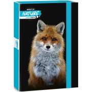 Ars Una Box na sešity nature liška A4