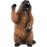 Svišť lesní zooted