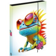 Box na sešity A4 Jumbo Chameleon