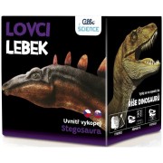 Albi Lovci lebek - Stegosaurus