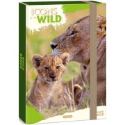 Box na sešity A4 Icons of the Wild - Lions