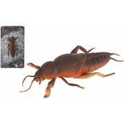 Krtonožka antistresový natahovací silikon 18cm