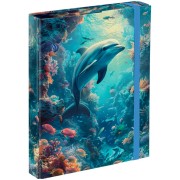 Box na sešity Baagl Delfín A5
