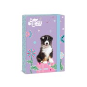 Box na sešity A4 ArsUna Cute Animals - Aussie