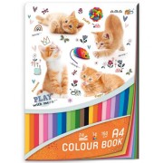 Blok barevných papírů Cats A4 24ks