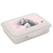 Box na svačinu s přihrádkou Oxybag Kůň romantic
