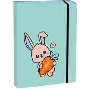 Box na sešity Stil A5 Bunny