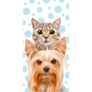 Osuška Kočka a pes