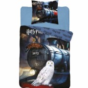 Povlečení Harry Potter Train svítící 140x200, 70x80