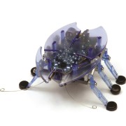 HEXBUG Beetle modrá