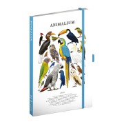 NOTIQUE Notes Animalium – Ptáci, linkovaný, 13 x 21 cm