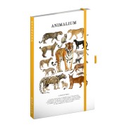 NOTIQUE Notes Animalium – Kočkovité šelmy, linkovaný, 13 x 21 cm