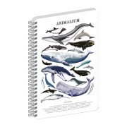 NOTIQUE Spirálový blok Animalium – Pod mořem, linkovaný, A4