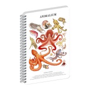 NOTIQUE Spirálový blok Animalium – Hlavonožci, linkovaný, A5