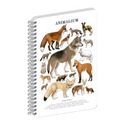 NOTIQUE Spirálový blok Animalium – Psovité šelmy, linkovaný, A4