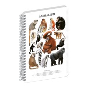 NOTIQUE Spirálový blok Animalium – Primáti, čtverečkovaný, A4