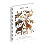 NOTIQUE Spirálový blok Animalium – Sudokopytníci, čistý, A5