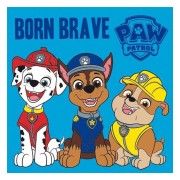 Magický ručníček Paw Patrol Brave
